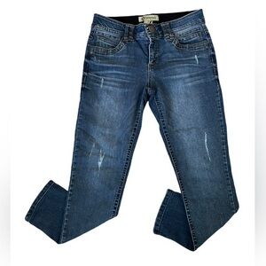 Democracy AB Technology High Rise Distressed Skinny Jeans